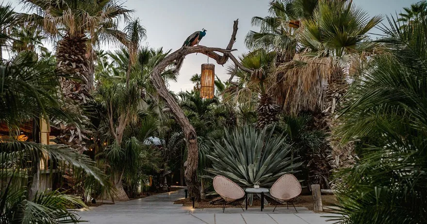 Acre, Los Cabos