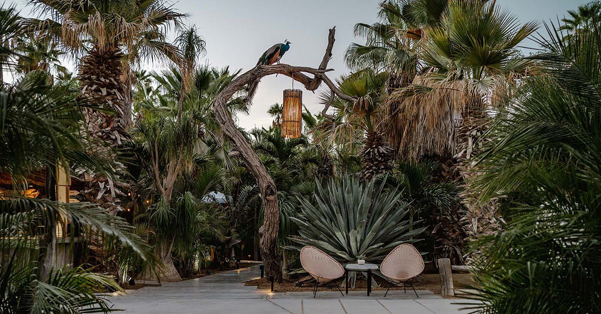 Acre, Los Cabos