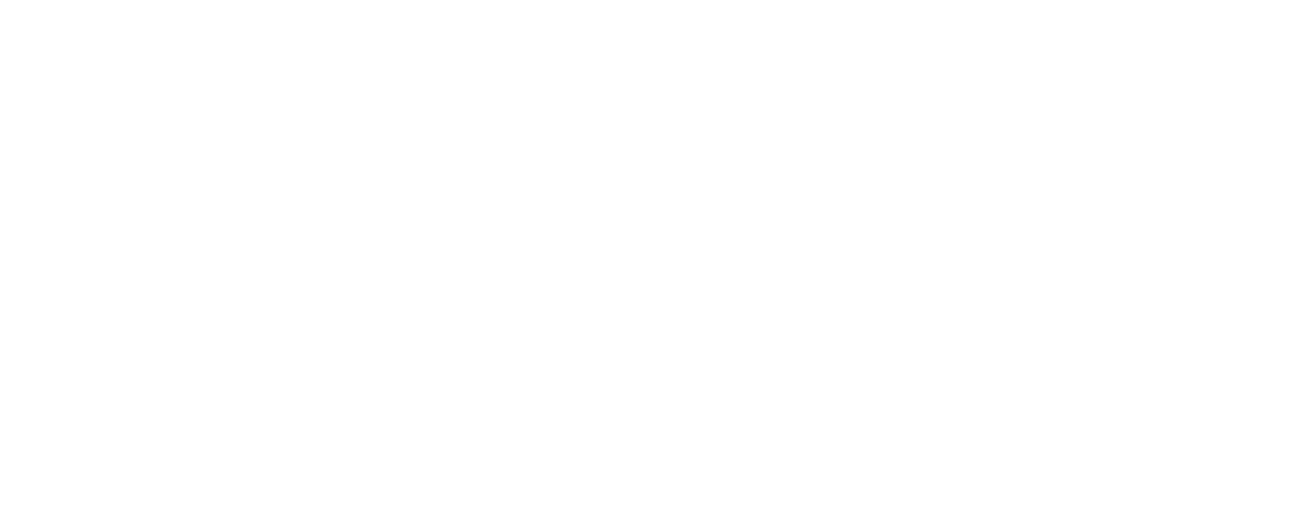 LogoDSF. Neg 2000x2000 scaled e1780957195175